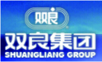 双良集团 双良集团